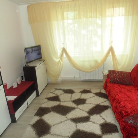 Lary Apartament Suceava Luaran gambar