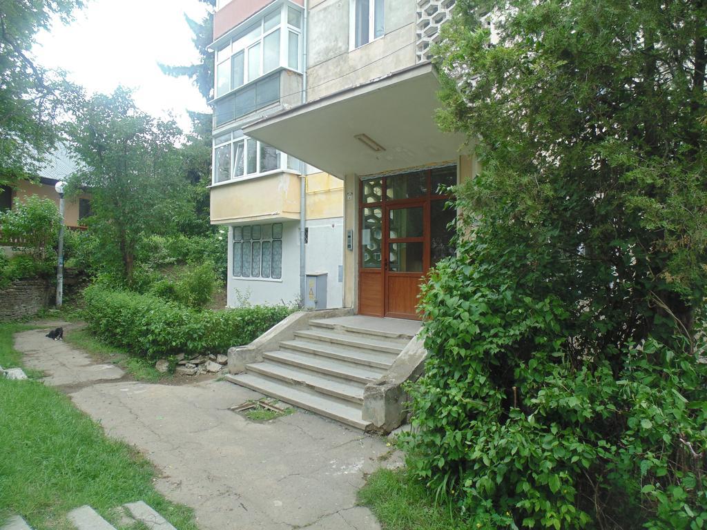 Lary Apartament Suceava Bilik gambar
