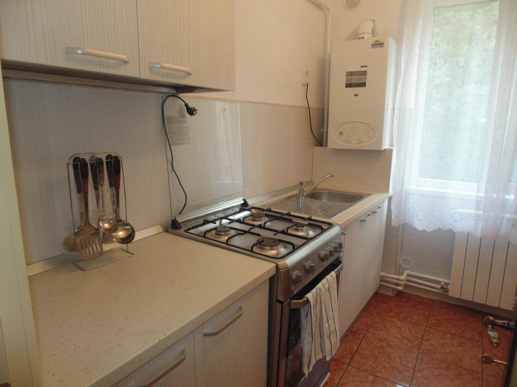 Lary Apartament Suceava Bilik gambar